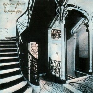 Meet your Posher, Darcee